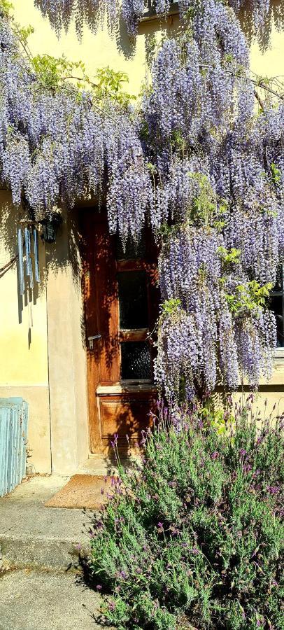 La Maison Des Tisserandes Montségur Exteriör bild